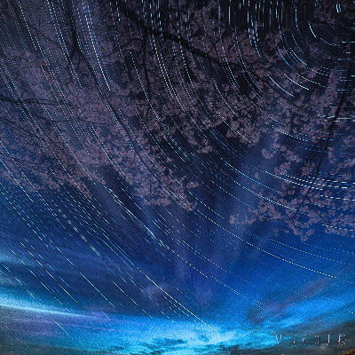 5th.single「sakura」