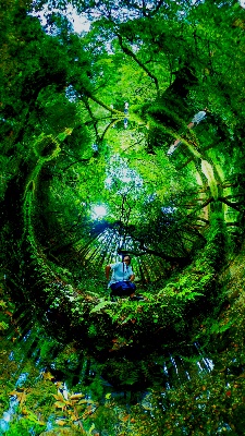写真動画撮影