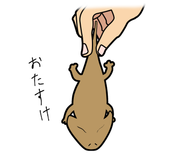 LINEスタンプ（でぃぷろちゃんと歩む古生代）