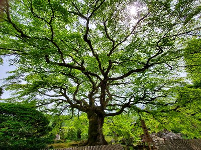 掲載:POTLUCK YAESU地域経済創発モデル