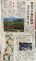 掲載:日本経済新聞