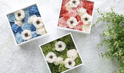 予約：体験レッスンB