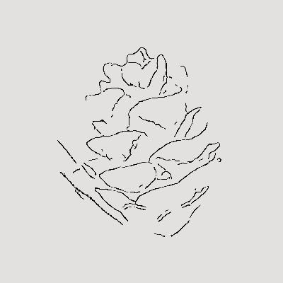 kikuchi keisuke - inspiro