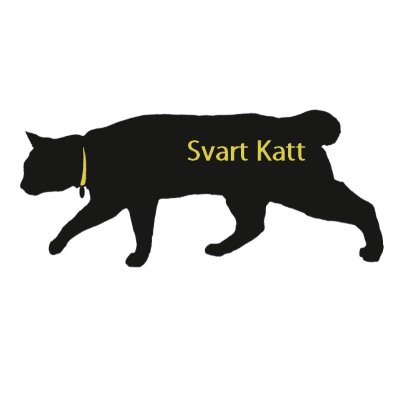 セラピスト兼占い師のX