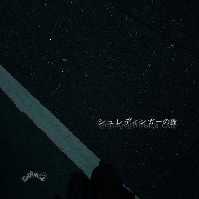 New⚡シュレディンガーの猫