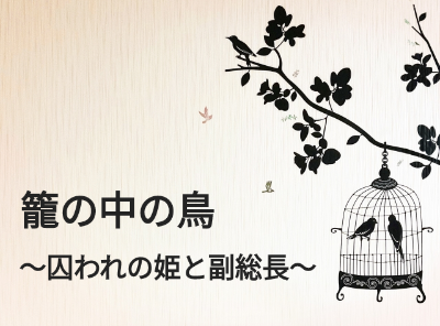 『籠の中の鳥 〜囚われの姫と副総長〜』