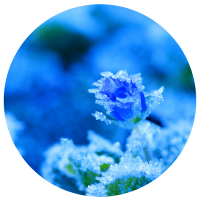 profile icon