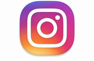 Instagram：toruya.mariko