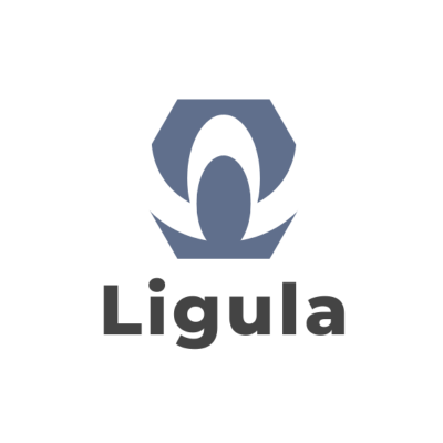 株式会社Ligula｜公式ホームページ