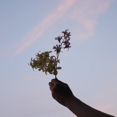 New Single「yurei」