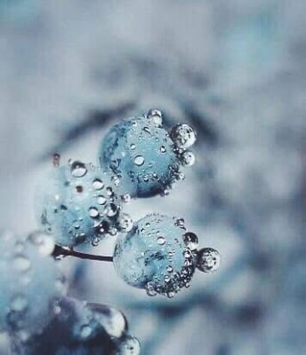 Atelier Junko Sophie