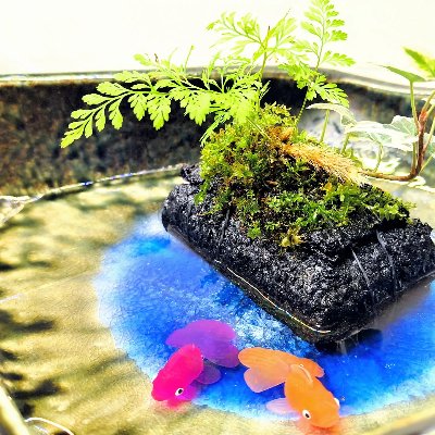 店内浮島ビオトープ　ワークショップ