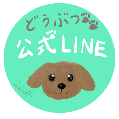 公式LINE