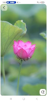 ボタニーペインティングワークショップの詳細