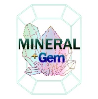 WEB SITE