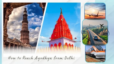 Best Travel Options and Tips