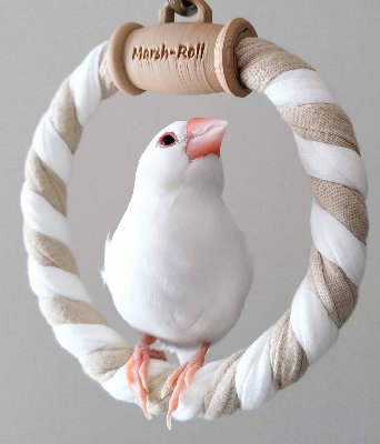 オンラインストア