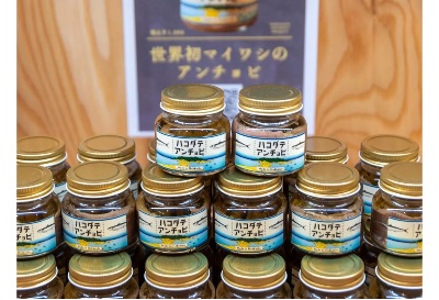 ハコダテアンチョビ公式サイト