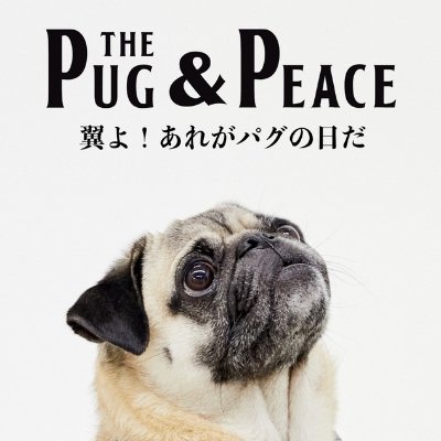 pug & peace