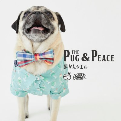 pug & peace
