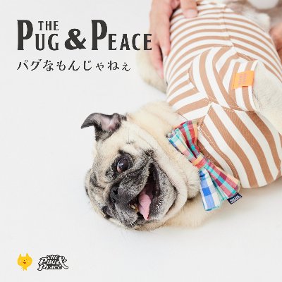 pug & peace
