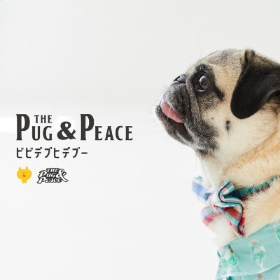 pug & peace
