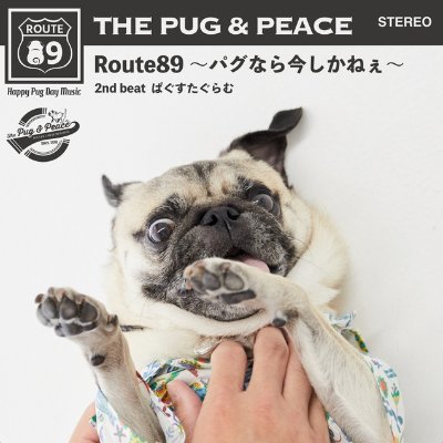 pug & peace