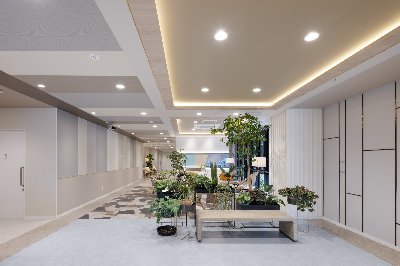新しいホームページ