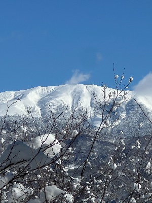 飛騨市プロモーション動画