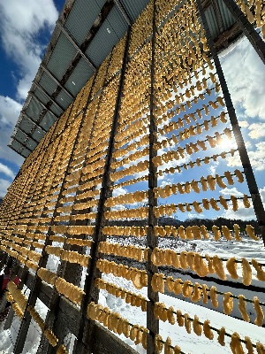 飛騨の寒干し大根
