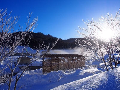 山之村の「寒干し大根」