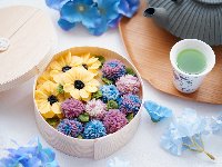 夏のおはぎレッスン　全国開催校一覧