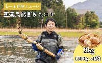 【先行予約品】五泉八代目レンコン 2kg（500g×4袋） 