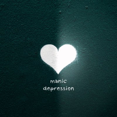 2nd Album "manic depression"