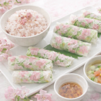 おあそび交流会≪食育・工作≫（千葉県松戸市）