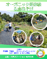 オーガニック畑体験＆森あそび（千葉県松戸市）