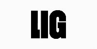 株式会社LIG / 社外取締役