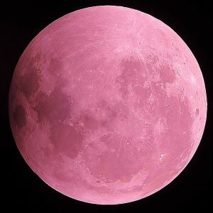 【ストロベリームーン】全文お試し読み