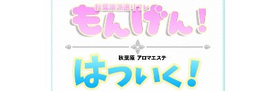秋葉原派遣型リフレ