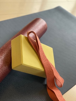 कौमुदी kaumudī yoga Instagram