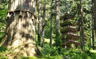 石段詣の詳細はこちら