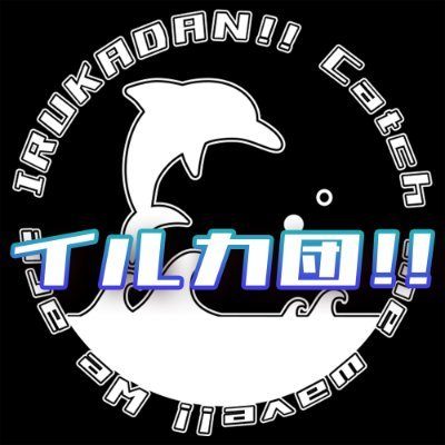 イルカ団!!公式X