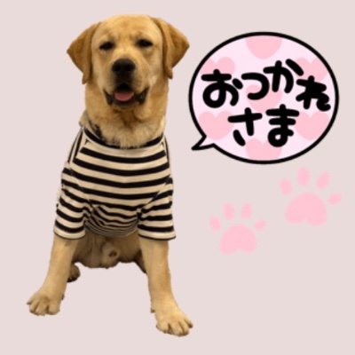LINEスタンプ
