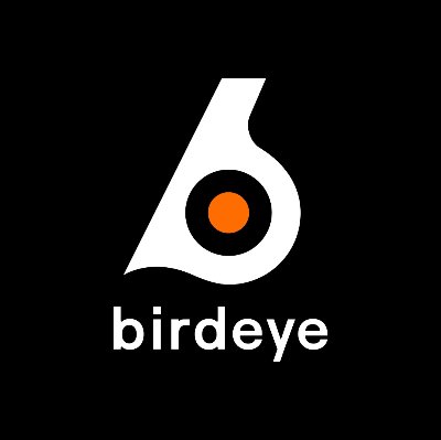 Birdeye lit.link