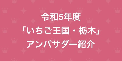 いちご王国アンバサダー