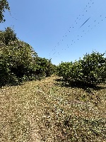 太宰府便利屋