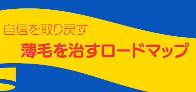 薄毛を治すロードマップ