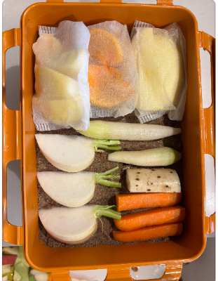 ハトムギ糠床作り講座