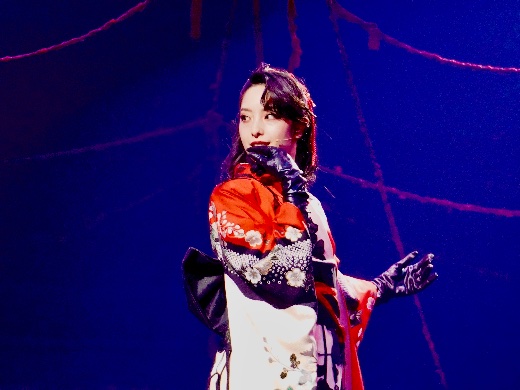 女郎蜘蛛