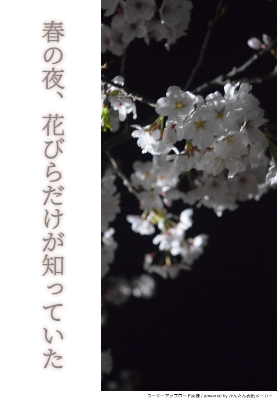 2025.7月🌸一次選考突破
